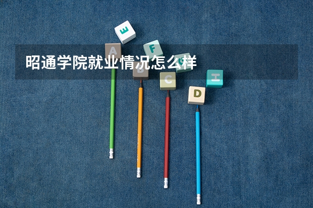 昭通学院就业情况怎么样
