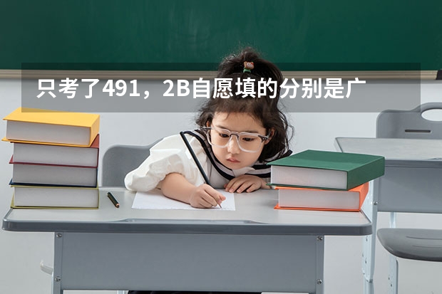 只考了491，2B自愿填的分别是广东外语外贸南国商学院，中山大学新华学院，广东培正学院，行吗（广东）