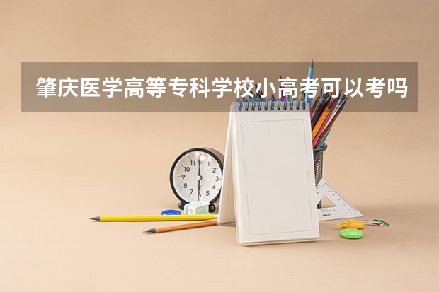 肇庆医学高等专科学校小高考可以考吗