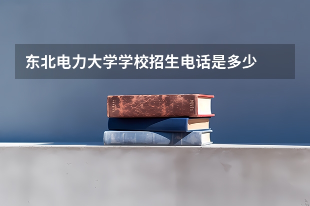 东北电力大学学校招生电话是多少
