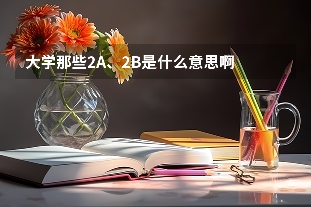 大学那些2A、2B是什么意思啊