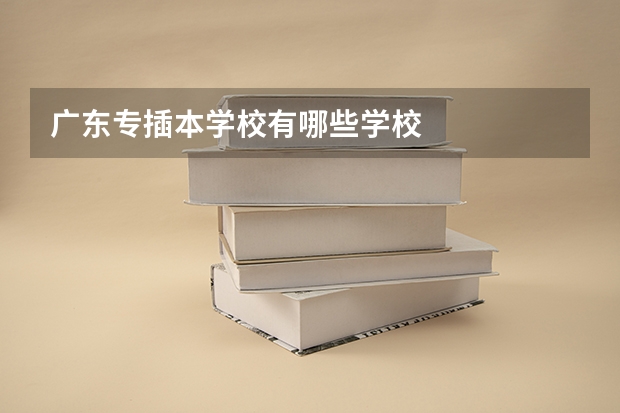 广东专插本学校有哪些学校