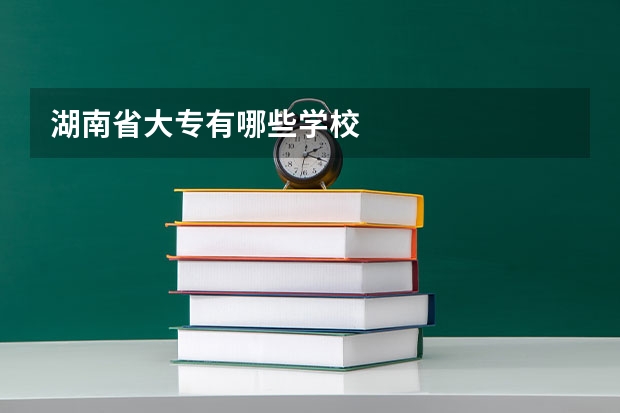 湖南省大专有哪些学校