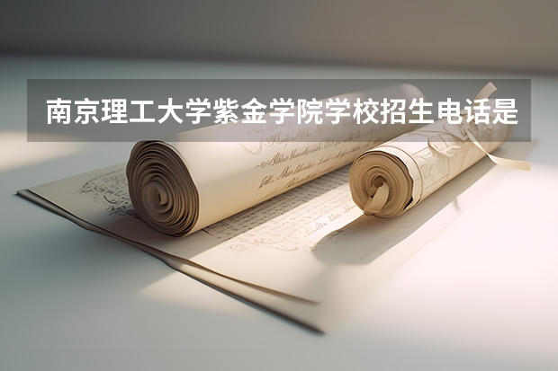 南京理工大学紫金学院学校招生电话是多少