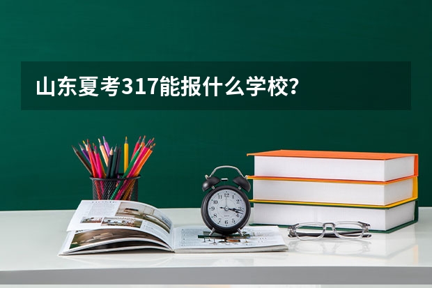 山东夏考317能报什么学校？