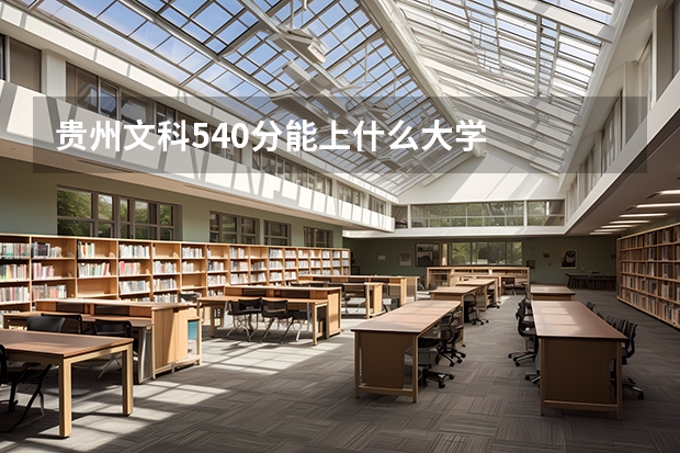 贵州文科540分能上什么大学