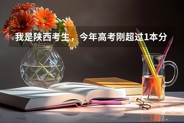 我是陕西考生，今年高考刚超过1本分数线1分,报什么学校比较好