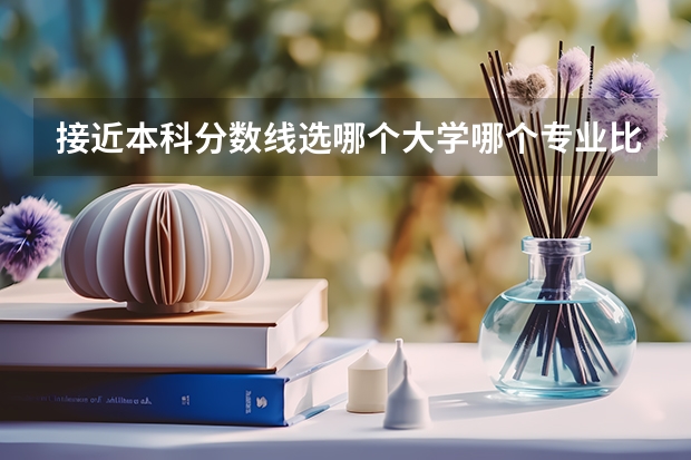 接近本科分数线选哪个大学哪个专业比较好