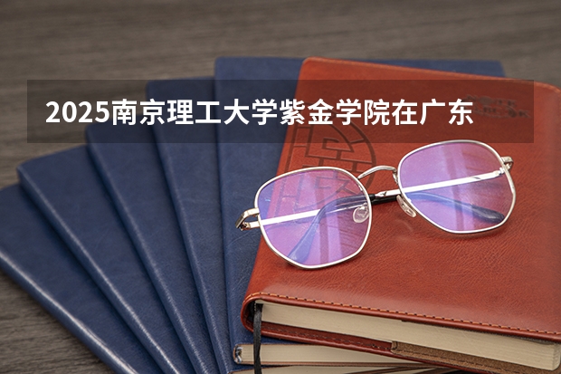 2025南京理工大学紫金学院在广东招生计划（招生人数）