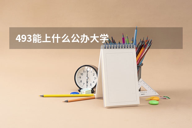 493能上什么公办大学