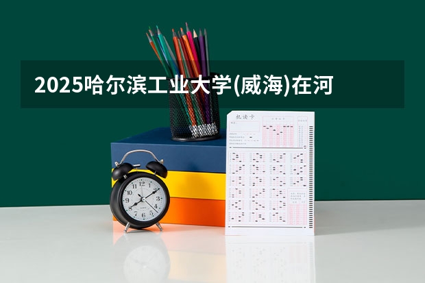 2025哈尔滨工业大学(威海)在河南招生计划（招生人数）