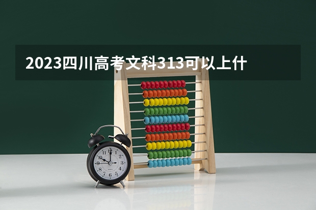 2023四川高考文科313可以上什么大学