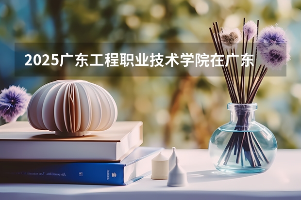 2025广东工程职业技术学院在广东招生计划（招生人数）