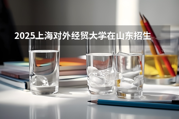 2025上海对外经贸大学在山东招生计划（招生人数）