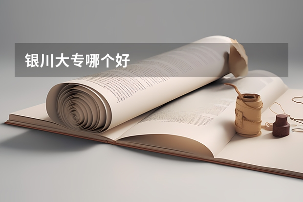 银川大专哪个好
