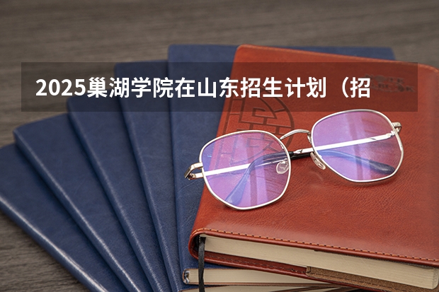 2025巢湖学院在山东招生计划（招生人数）