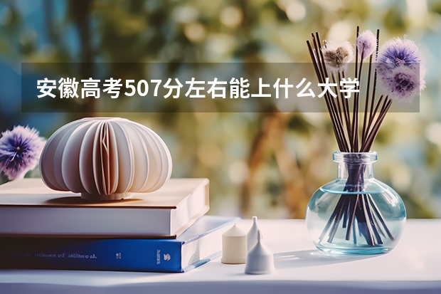 安徽高考507分左右能上什么大学