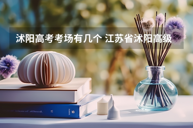 沭阳高考考场有几个 江苏省沭阳高级中学高考成绩