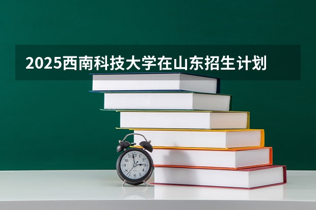 2025西南科技大学在山东招生计划（招生人数）
