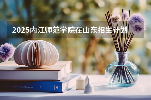 2025内江师范学院在山东招生计划（招生人数）
