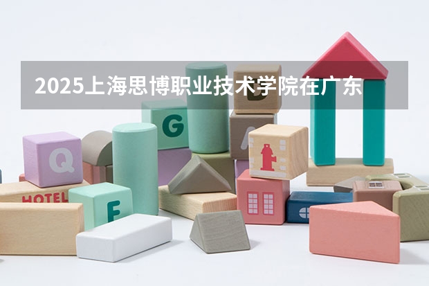 2025上海思博职业技术学院在广东招生计划（招生人数）