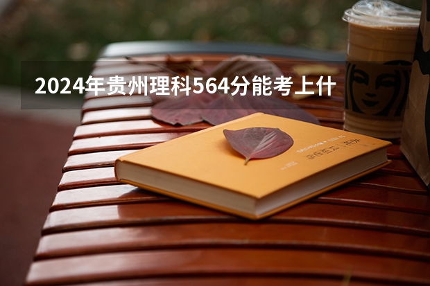 2024年贵州理科564分能考上什么大学？