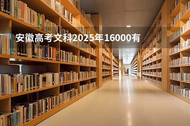 安徽高考文科2025年16000有哪些大学可以报本省