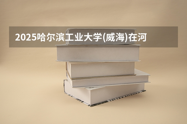 2025哈尔滨工业大学(威海)在河北招生计划（招生人数）