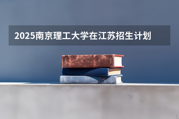 2025南京理工大学在江苏招生计划（招生人数）