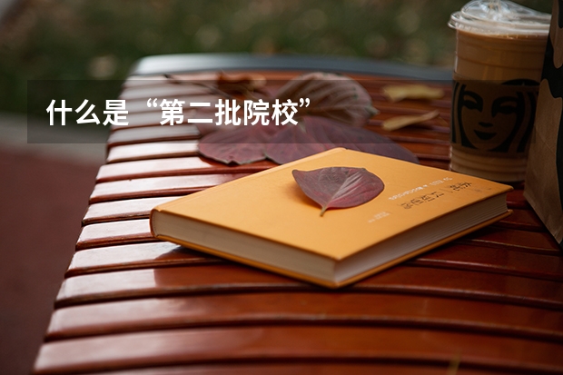 什么是“第二批院校”
