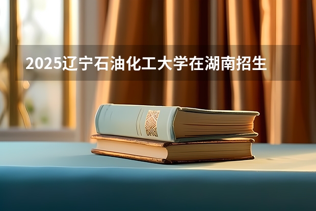 2025辽宁石油化工大学在湖南招生计划（招生人数）