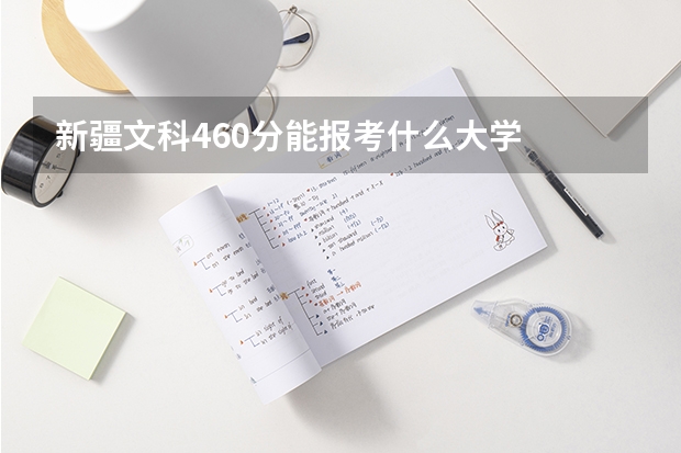 新疆文科460分能报考什么大学