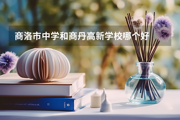 商洛市中学和商丹高新学校哪个好