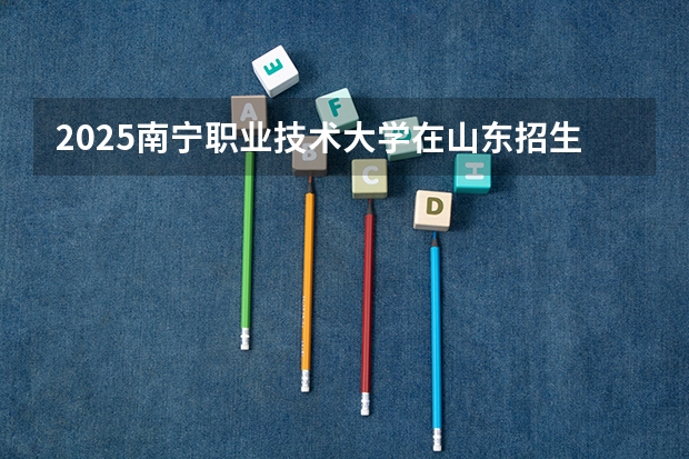 2025南宁职业技术大学在山东招生计划（招生人数）