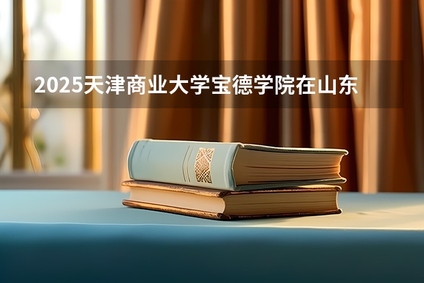 2025天津商业大学宝德学院在山东招生计划（招生人数）