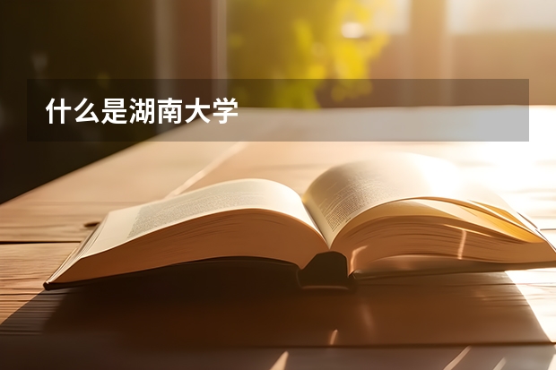什么是湖南大学