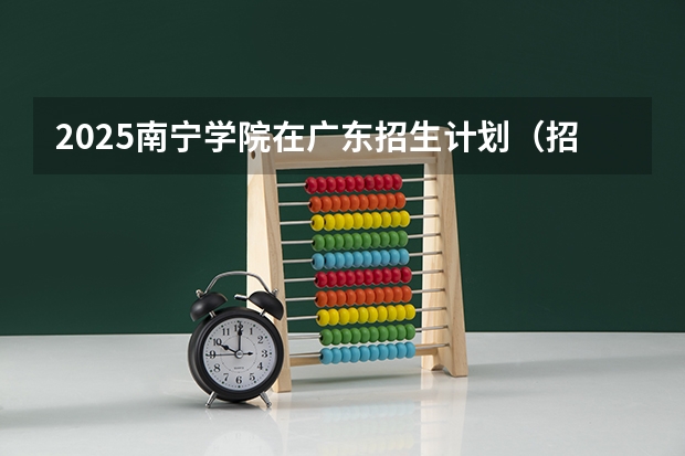 2025南宁学院在广东招生计划（招生人数）