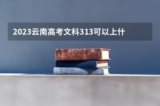 2023云南高考文科313可以上什么大学