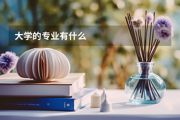 大学的专业有什么