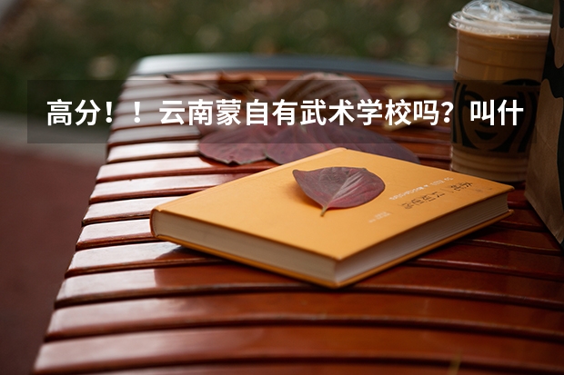 高分！！云南蒙自有武术学校吗？叫什么名字？