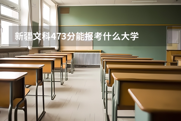 新疆文科473分能报考什么大学
