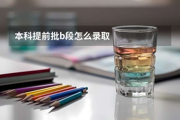 本科提前批b段怎么录取