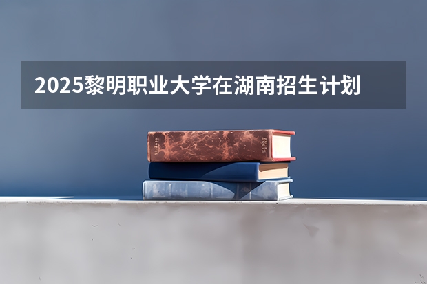 2025黎明职业大学在湖南招生计划（招生人数）