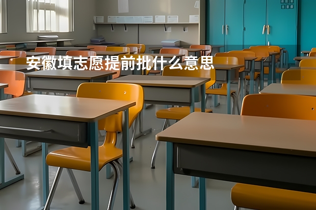 安徽填志愿提前批什么意思