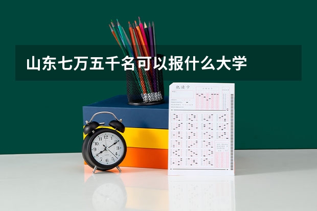 山东七万五千名可以报什么大学