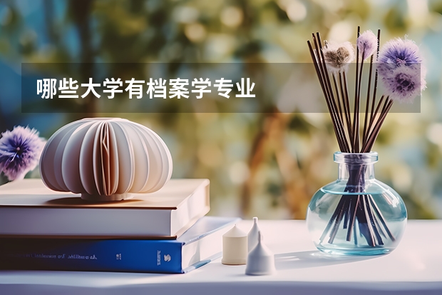 哪些大学有档案学专业