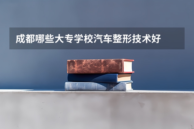 成都哪些大专学校汽车整形技术好