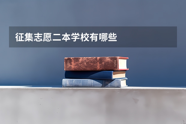 征集志愿二本学校有哪些
