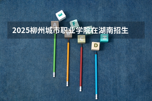 2025柳州城市职业学院在湖南招生计划（招生人数）