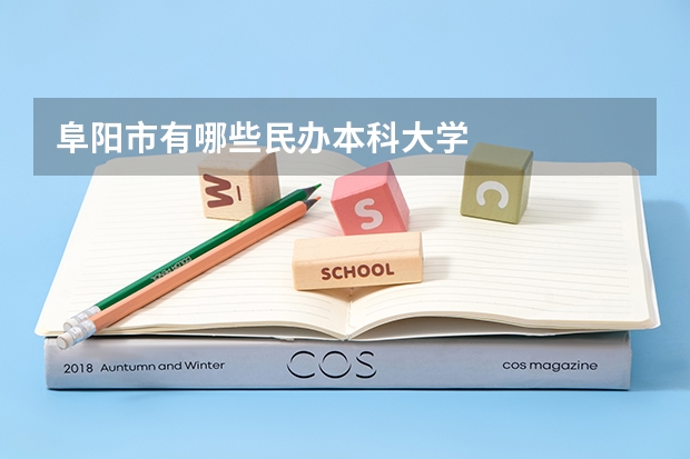 阜阳市有哪些民办本科大学